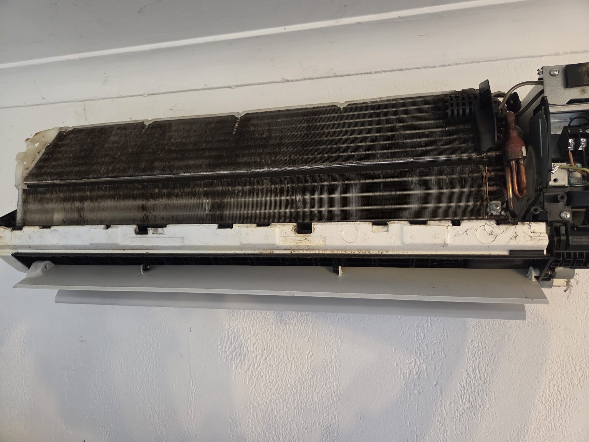 État avant nettoyage – évaporateur encrassé – BK SERVICE